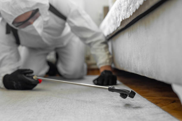 Professional Termite Control technician working in Northfield, NJ